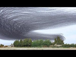 Самые Пугающие Случаи, Когда Природа Сходила с Ума