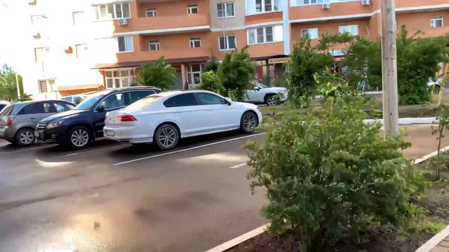 МИХАЛЫЧ С УТРА УЖЕ ПАСЁТСЯ В КВАРТИРЕ! смотреть онлайн