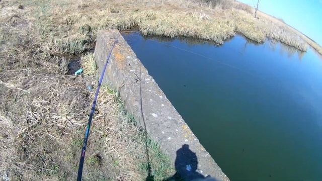 Рыбалка 4.15 "Красный Яр" Дамба-Пожар-Сазан и щуки смотреть онлайн