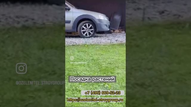 Услуги озеленения и посадки садовых растений на даче. Выезд Агрономов по Москве, МО, т. 84956695223