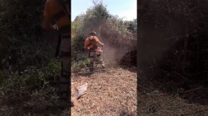 débroussaillage stihl fs 560 Corse 2017