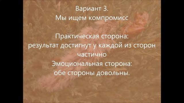 Занятие 9. Как найти компромисс? Эффективное решение конфликтных ситуаций.