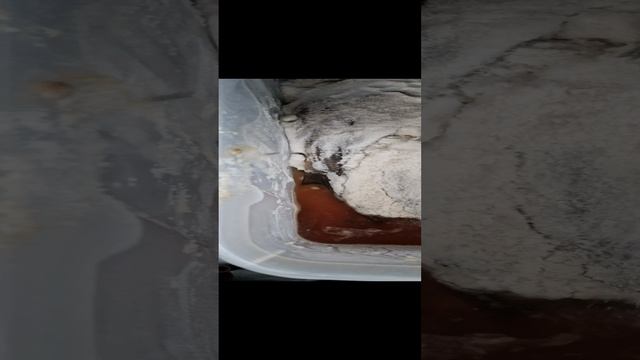 20221225_093201.mp4