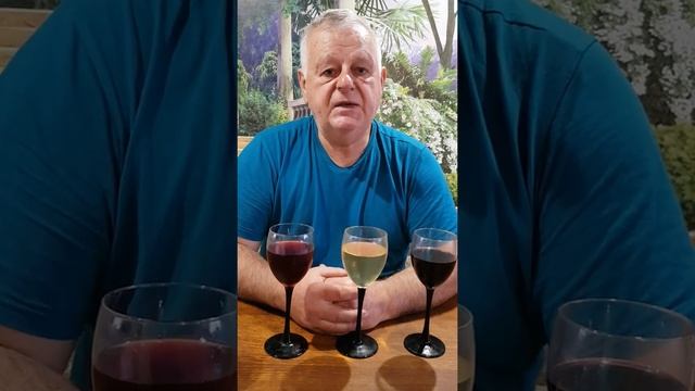 Школа домашнего виноделия.