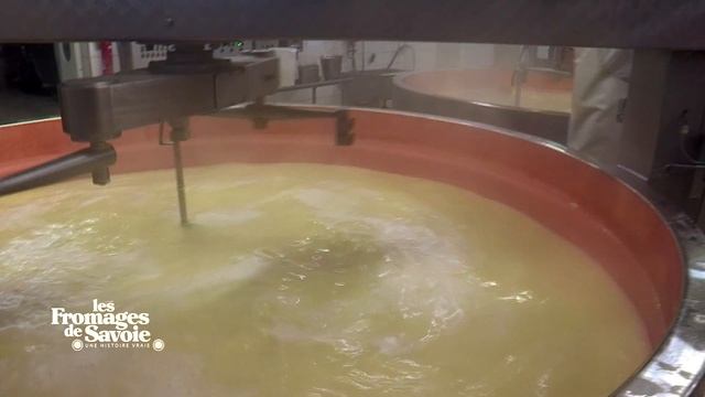 Les Fromages de Savoie AOP-IGP - Les étapes de fabrication смотреть онлайн