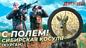 С полем!🦌 Охота на косулю в Курганской области.