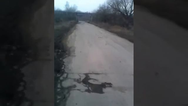 Дорога из поселка Грицовский в Новомосковск