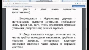 Как нужно правильно собирать валежник для собственных нужд. Юридическая памятка