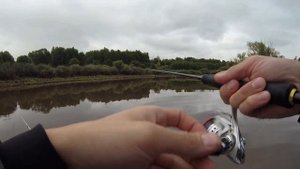 В лес по дикой реке на моторке. Рыбалка на щуку в Омской области, Усть-Ишимский район.