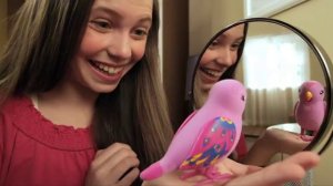 Говорящие птички Little LIve Pets 28006, 28007