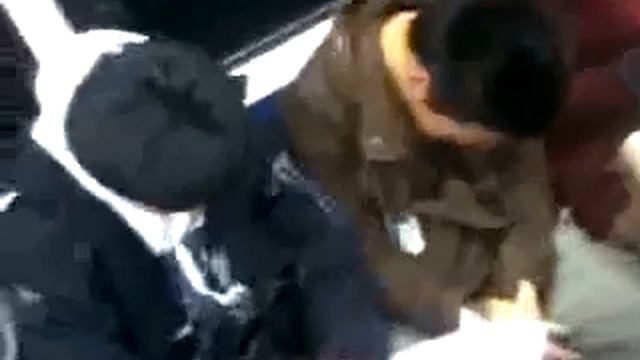 Братья гавс