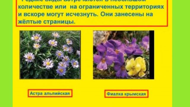 охрана природы 1 смотреть онлайн