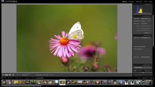 Fujifilm S5 Pro + Sigma 135/1.8 Art = Dream Team