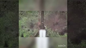 Блогер Некоглай снял пародию на российского солдата