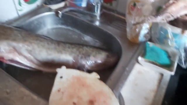 Дед Жжёт приготовил уху из судака смотреть онлайн