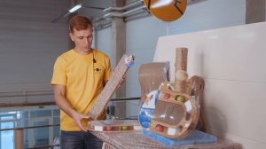 Что нужно для котёнка в квартире? Готовимся к появлению пушистого друга!