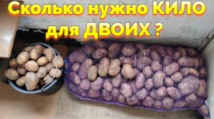 Сколько картошки нужно на зиму для двоих ?