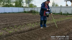 МОРКОВЬ. За 5 минут посеять гряду. Простая сеялка. Облегчает работу. Чтобы не болела спина на даче