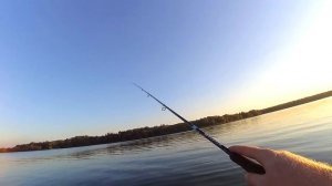 Ловля судака на вечерней зорьке. Тест спиннинга Favorite Receptor RCS-772M