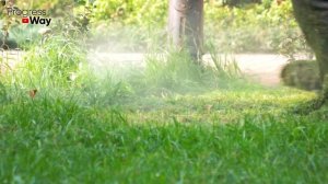 Перекапывать Сидераты Осень Или Нет - Я Для Себя Давно Нашёл Ответ Как Правильно Всё Сделать