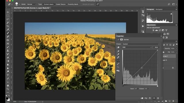 НОВИНКА!  Ретушь фотографий в Photoshop CC.  Основы. Онлайн курс от Fotoshkola.net