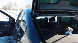 Музыка, Гранта лифтбек!