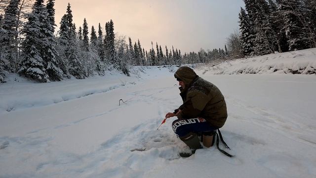 Супер клёв хариуса зимой на новом месте ! смотреть онлайн
