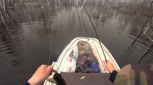 Нижне-Бурейское водохранилище. Сезон 2023.