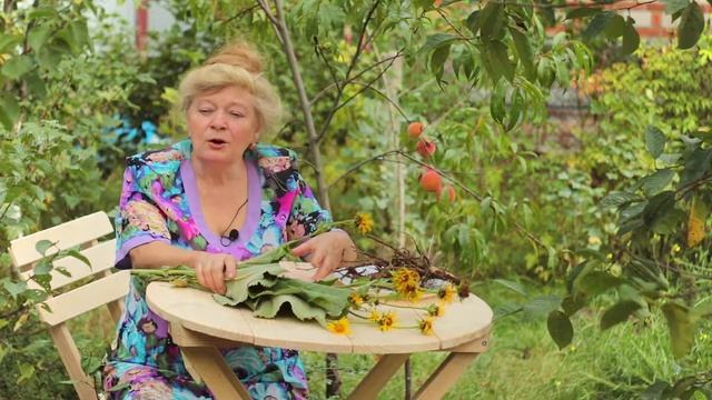 ?Еліксир молодості?! Трава дев'ясил властивості і діючі речовини. Використання і рецепти.