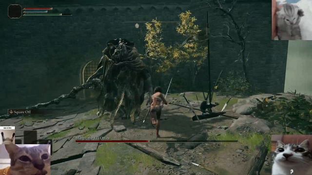 Margit [RL1] - Hitless, No Roll/Jump/Parry, +0, No Talismans, No Aux смотреть онлайн