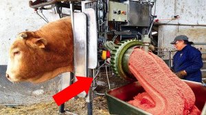 Производство, от Которого у Вас Пойдут Мурашки по Коже