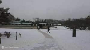 창덕궁, 아름다운 눈 내리는 풍경 워킹투어, 한국의 고궁, 한국의 설경, 서울 고궁 여행, 서울여행워커.