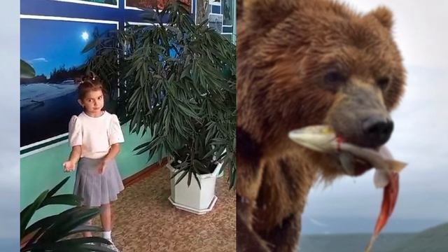 Детский сад 50. стихотворение "Я медведь камчатский"
