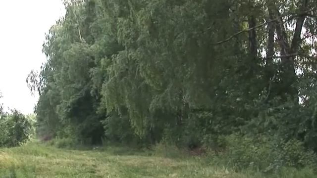 Чем опасны заброшенные сады смотреть онлайн