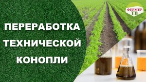 Переработка технической конопли