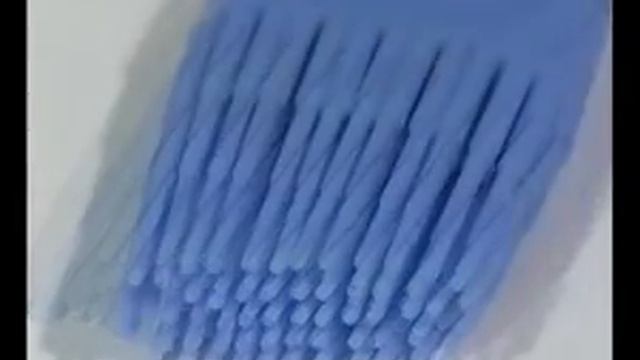 Набор из 2 кистей - www.chistokot.ru смотреть онлайн