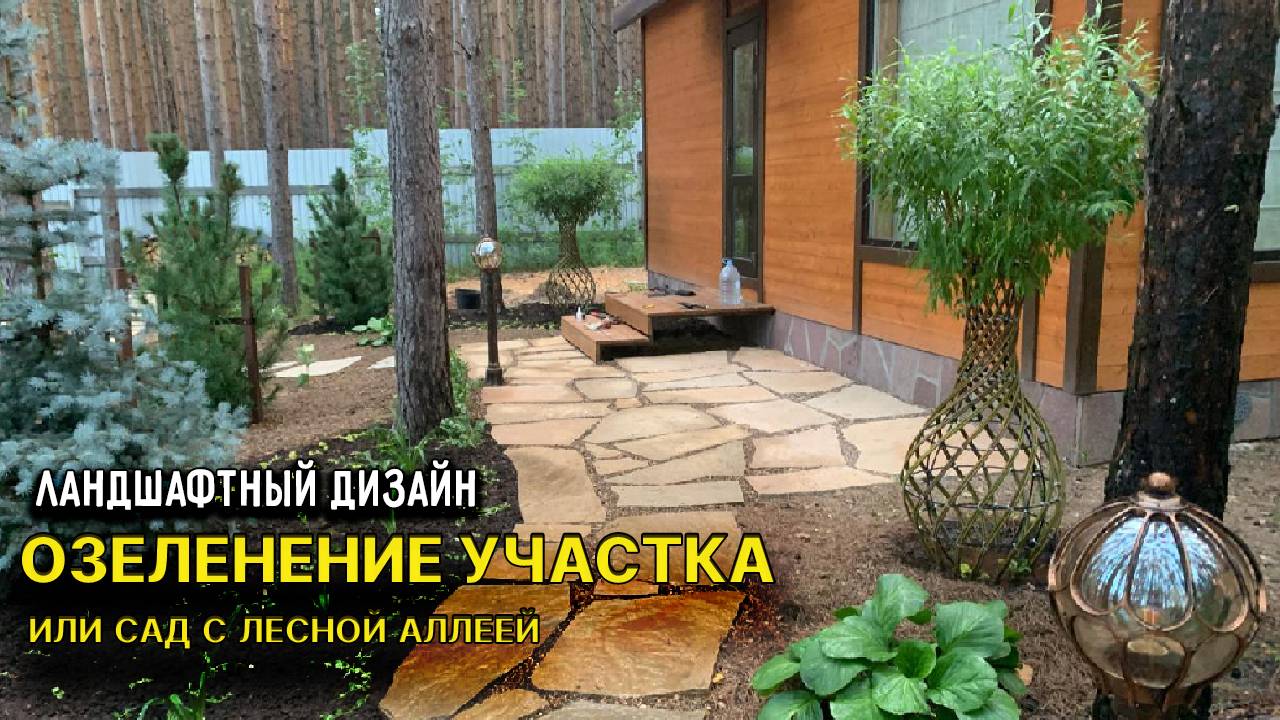 Ландшафтный проект для участка с лесным массивом