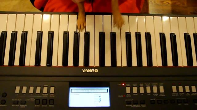 Т-REX и СОБАКА: ГДЕ МОЯ СОБАКА / T-REX and рDOG: WHERE MY DOG ? смотреть онлайн