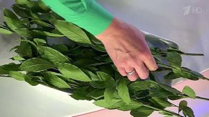 Пряности на нашем столе. Лавровый лист. Жить здорово! Фрагмент выпуска от 10.09.2015