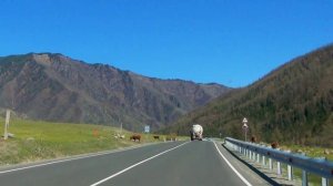 Путешествие на Алтай на машине