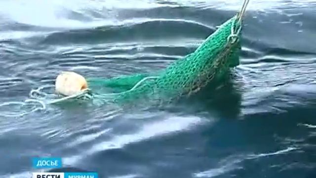 Международные учения "Баренц-2014". Большая тренировка. смотреть онлайн