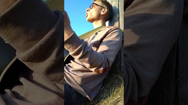 Reizüberflutung - Funny van Dannen - Semanski Cover смотреть онлайн