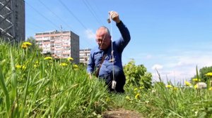 В поисках рыбы в отводном канале. Тушино 02.06.2022 года.