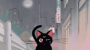 градусы - режиссер (slowed,reverb)