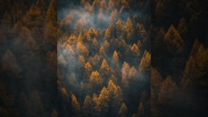 Песенка студента (cover)