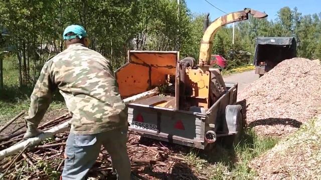 Расчистка заросших участков от бурьяна, поросли и мелколесья