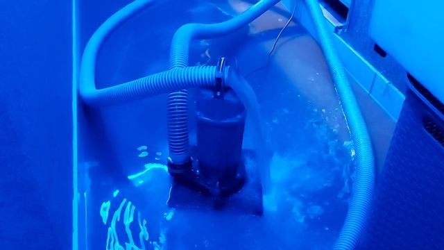 Откачка воды в любых количествах 89680823129 Sushkadom.ru