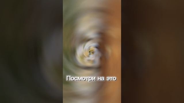 #shots #цветы #декор #воронеж #букеты #мыльныерозы #новыйгод #праздниккнамприходит #новогоднийдекор