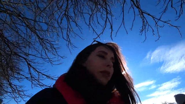 Не можем выбрать билеты // Дорога в музей океана - день 4 смотреть онлайн