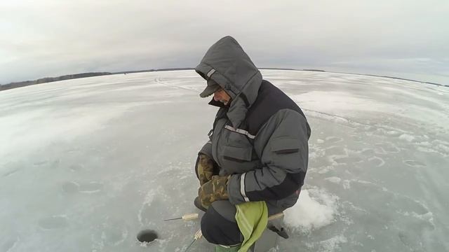 Глухозимье затянулось. Зимняя рыбалка. Дубна. Иваньковское водохранилище. Черная морковка. Шлагбаум